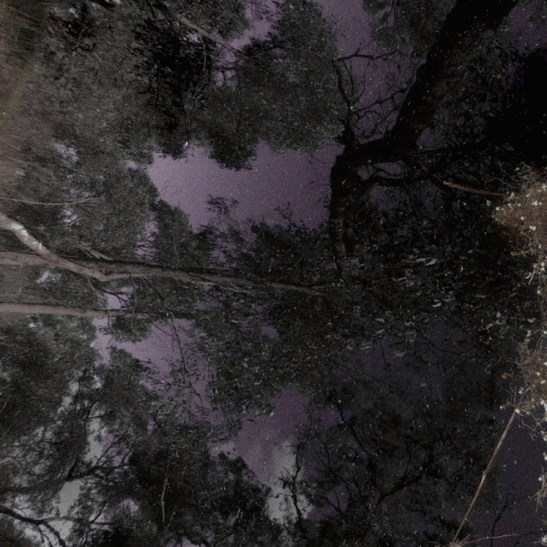 Cave Sermon : Fabricate